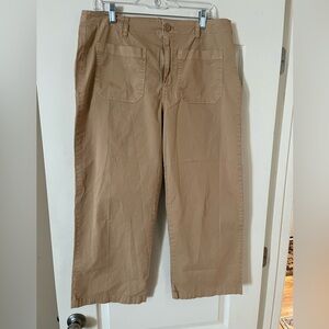 Social Standard by Sanctuary Tan Cropped Pants Women’s Size 14